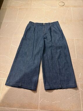 Zara Stylish Wide Leg Dark Wash Denim Pants. NWOT.